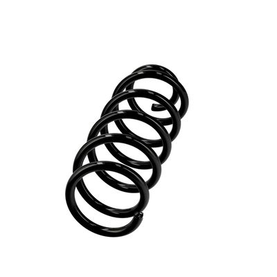ARC SPIRAL EIBACH R22963 14