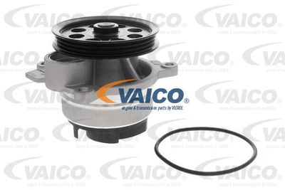 VAICO V25-50038 Помпа (водяний насос) 