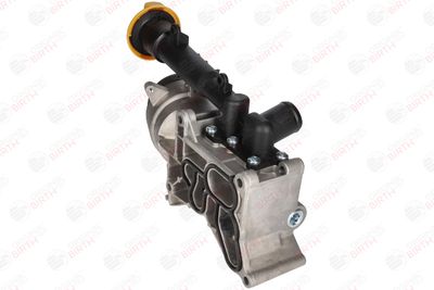 RADIATOR ULEI ULEI MOTOR BIRTH 80171 9