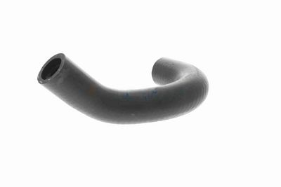 FURTUN RADIATOR ACKOJA A529604 4