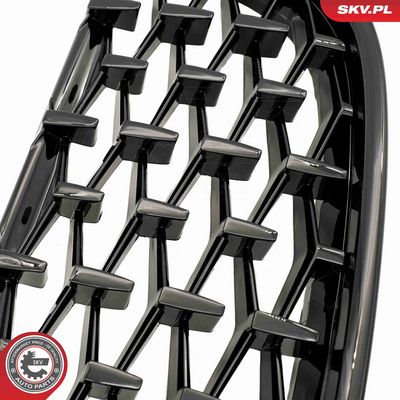 GRILA RADIATOR ESEN SKV 66SKV093 6