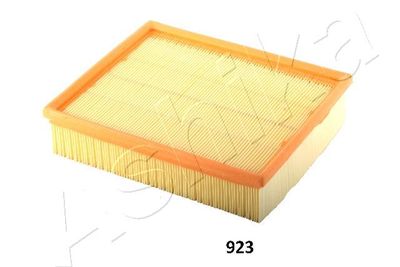 Air Filter 20-09-923