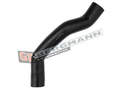 GT-BERGMANN Automotive Kompresoriaus padavimo žarna