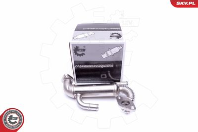 RADIATOR RECIRCULARE GAZE DE ESAPAMENT