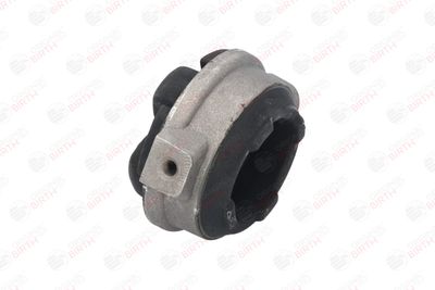 SUPORT MOTOR BIRTH 5549 11