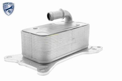 RADIATOR ULEI ULEI MOTOR VEMO V30600007 5