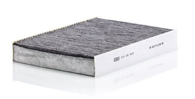 Filter, Innenraumluft