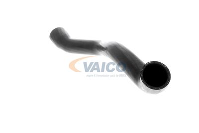 FURTUN RADIATOR VAICO V203329 9