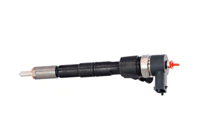 INJECTOR REMANTE 002003001391R 14