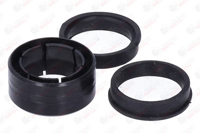 BUCSA ARBORE DE DIRECTIE BIRTH 4144 9