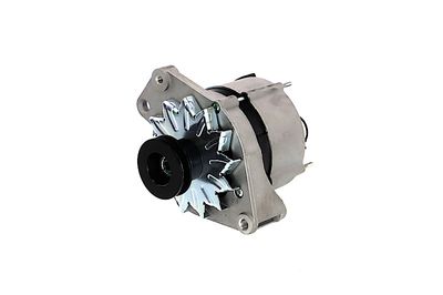 GENERATOR / ALTERNATOR REMANTE 011003000270R 64