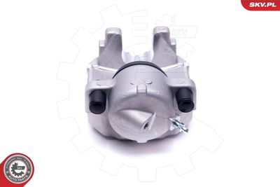 Brake Caliper 56SKV292