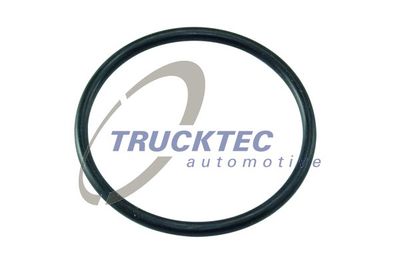 TRUCKTEC AUTOMOTIVE Afdichtring (01.67.029)