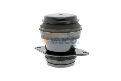 SUPORT TRANSMISIE AUTOMATA VAICO V101178 38