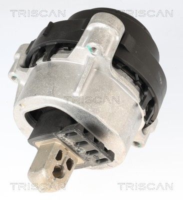 TRISCAN Variklio montavimas