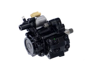 POMPA DE INALTA PRESIUNE REMANTE 002002000512R 38