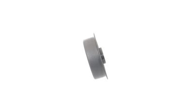 SPANNROLLE ZAHNRIEMEN SKF VKM75113 29