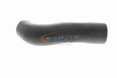 FURTUN EAR SUPRAALIMENTARE VAICO V201624 5