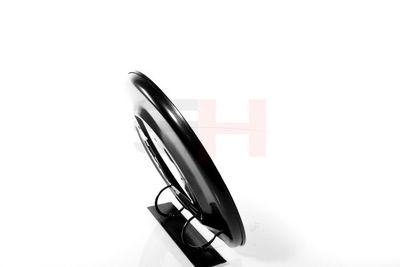 PROTECTIE STROPIRE DISC FRANA GH GH484803 22