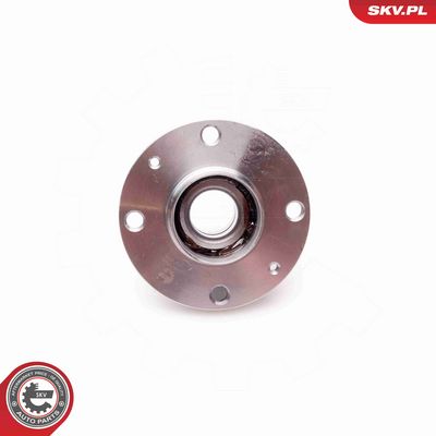 SET RULMENT ROATA ESEN SKV 29SKV038 3