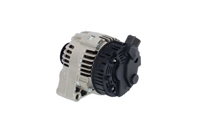 GENERATOR / ALTERNATOR REMANTE 011003000088R 20