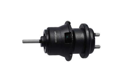 SUPORT MOTOR Kavo Parts EEM8013 9