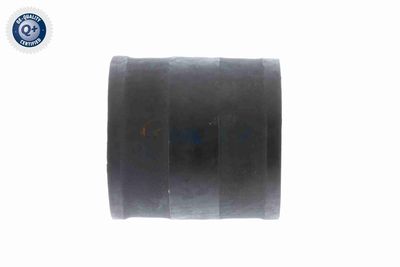 FURTUN EAR SUPRAALIMENTARE VAICO V401366 5