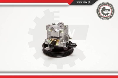 Гидравлический насос, рулевое управление ESEN SKV 10SKV059 для MITSUBISHI L200