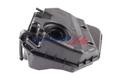 VAS DE EXPANSIUNE RACIRE