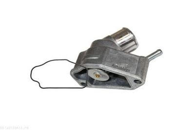 TERMOSTAT LICHID RACIRE