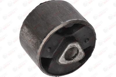 SUPORT TRAPEZ BIRTH 2134 12