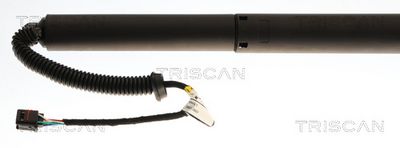 AMORTIZOR PORTBAGAJ TRISCAN 871043313 3