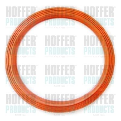 Прокладка, датчик уровня топлива HOFFER GSK09 для VW BORA