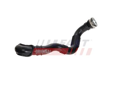 FURTUN EAR SUPRAALIMENTARE FAST FT01075 14