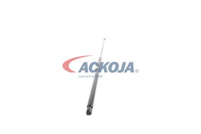 AMORTIZOR PORTBAGAJ ACKOJA A520065 51