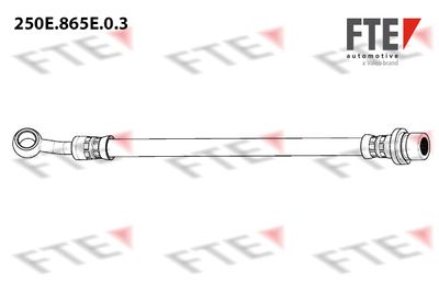 FTE 250E.865E.0.3 Тормозной шланг  для HONDA CITY (Хонда Кит)
