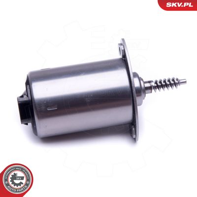 Řídicí prvek, excentrická hřídel (variabilní zdvih ventilu) SKV 96SKV089