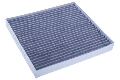 Filter, cabin air M110958K