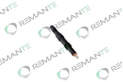 INJECTOR REMANTE 002003000113R 4