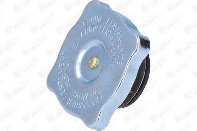 BUSON RADIATOR BIRTH 8087 2