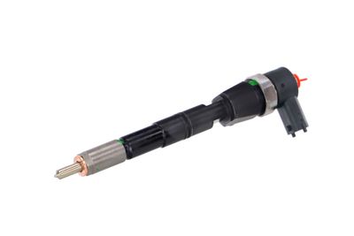 INJECTOR REMANTE 002003001674R 65