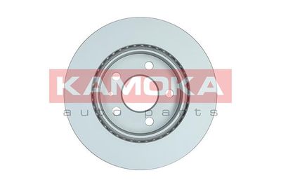 Brake Disc 1031720