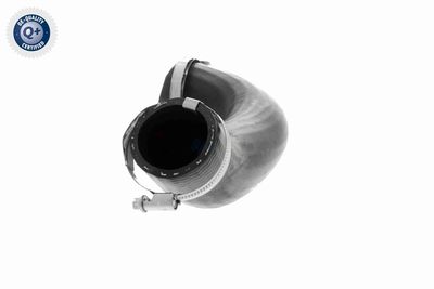 LADELUFTSCHLAUCH VAICO V251058 3