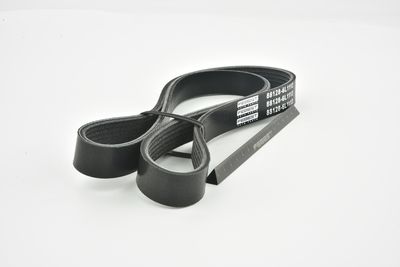 CUREA TRANSMISIE CU CANELURI FEBEST 881286L1113 43