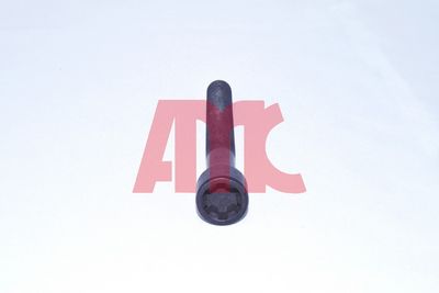 ZYLINDERKOPFSCHRAUBENSATZ