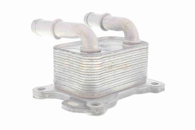 RADIATOR ULEI ULEI MOTOR ACKOJA A38600004 5