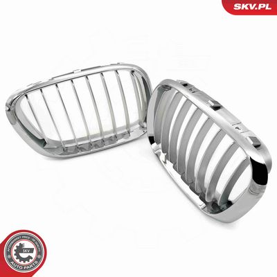 GRILA RADIATOR ESEN SKV 66SKV272 3