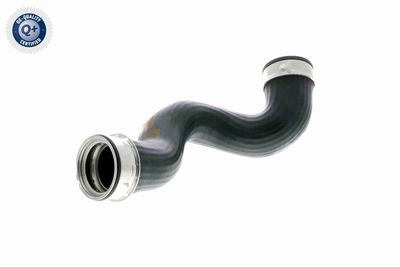 LADELUFTSCHLAUCH VAICO V301780 4