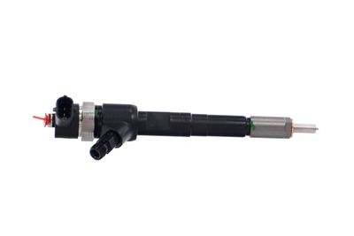 INJECTOR REMANTE 002003001717R 41