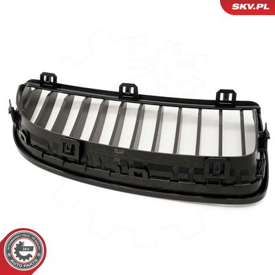 GRILA RADIATOR ESEN SKV 66SKV087 7